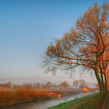 River AA in the morning fog, Netherlands