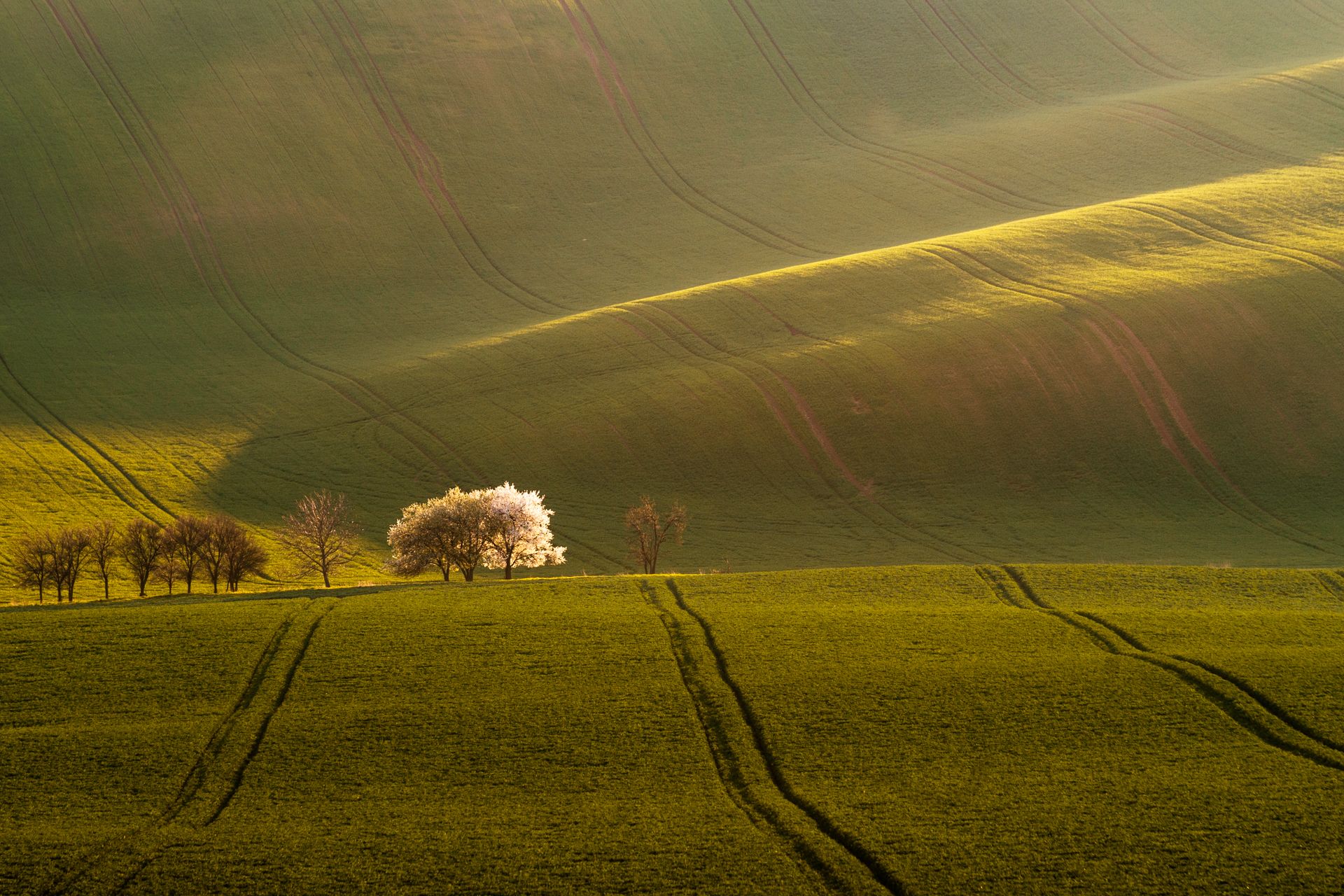 Rolling hills, Moravia, Czech Republic