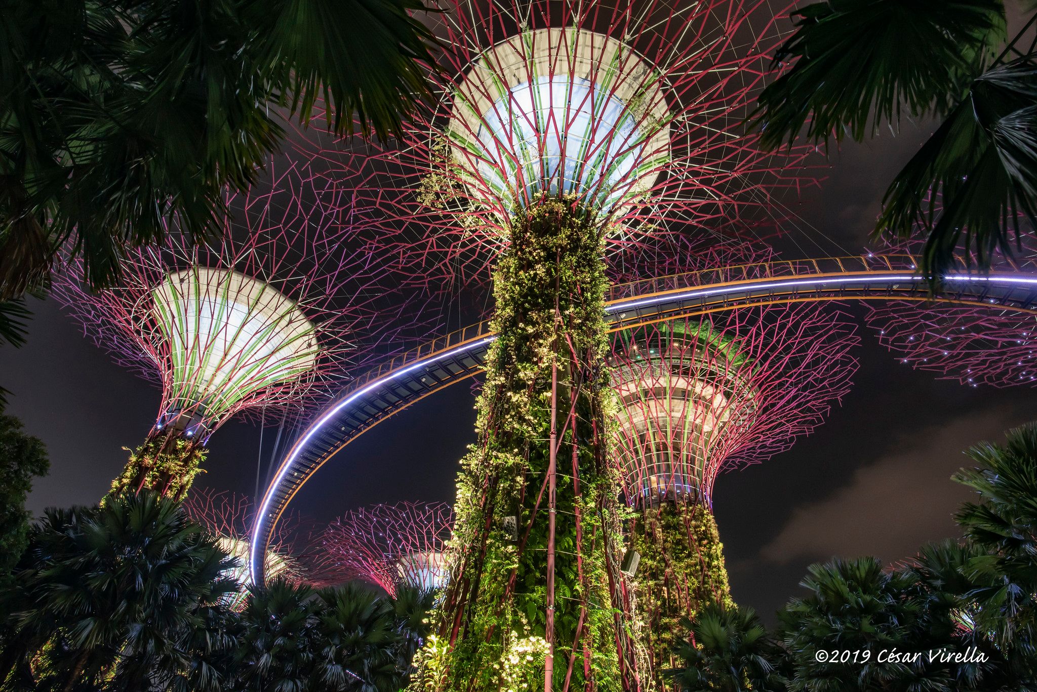 Supertree Grove - Gardens by the bay, Singapore, Singapore