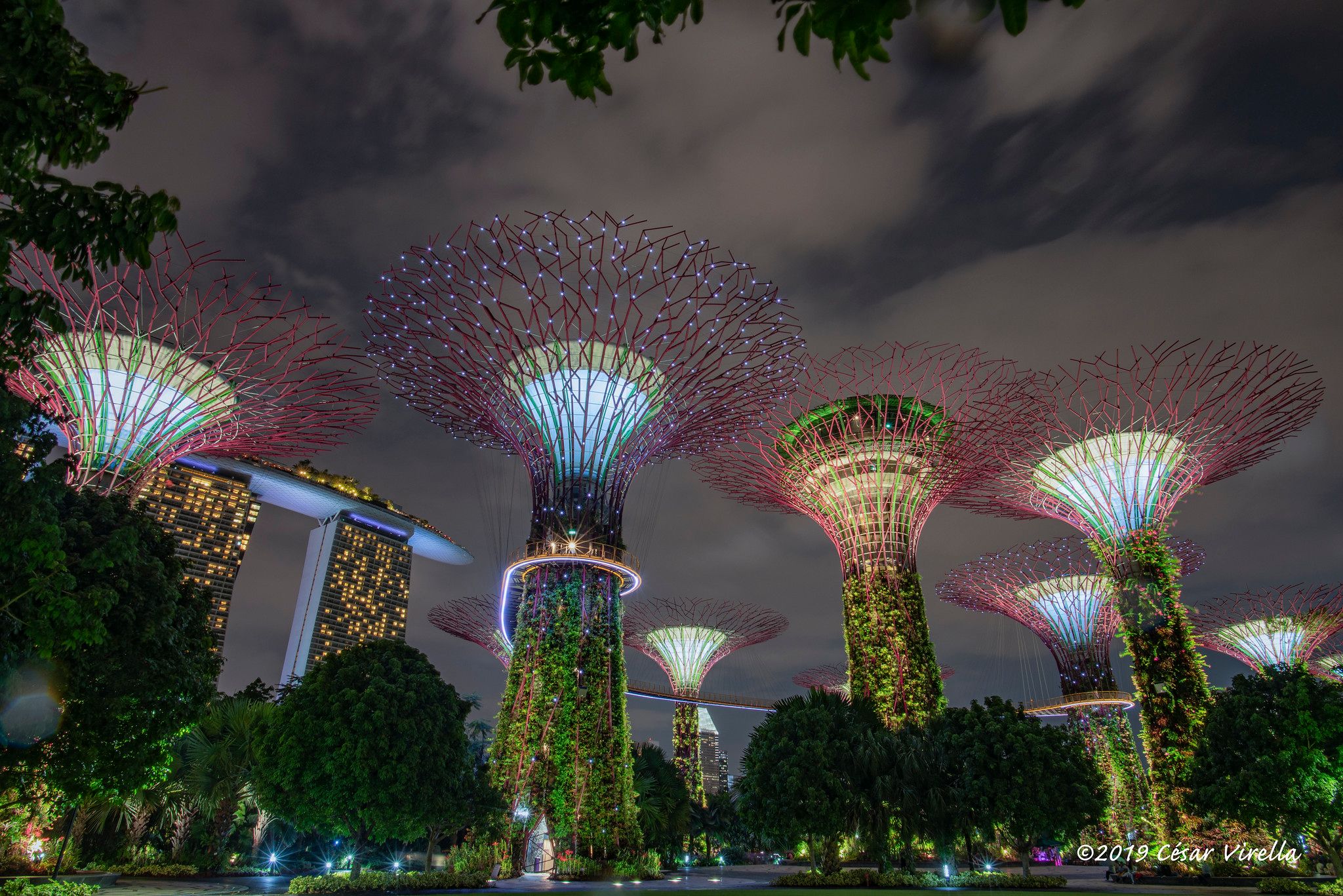 Supertree Grove - Gardens by the bay, Singapore, Singapore