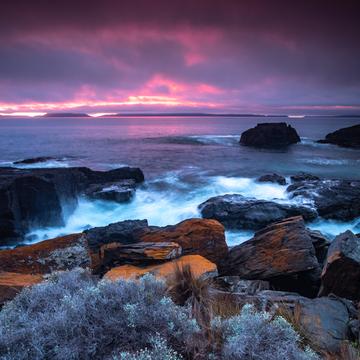 Spikey Beach sunrise Swansea Tasmania, Australia