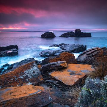 Spiky Beach sunrise Swansea Tasmania, Australia