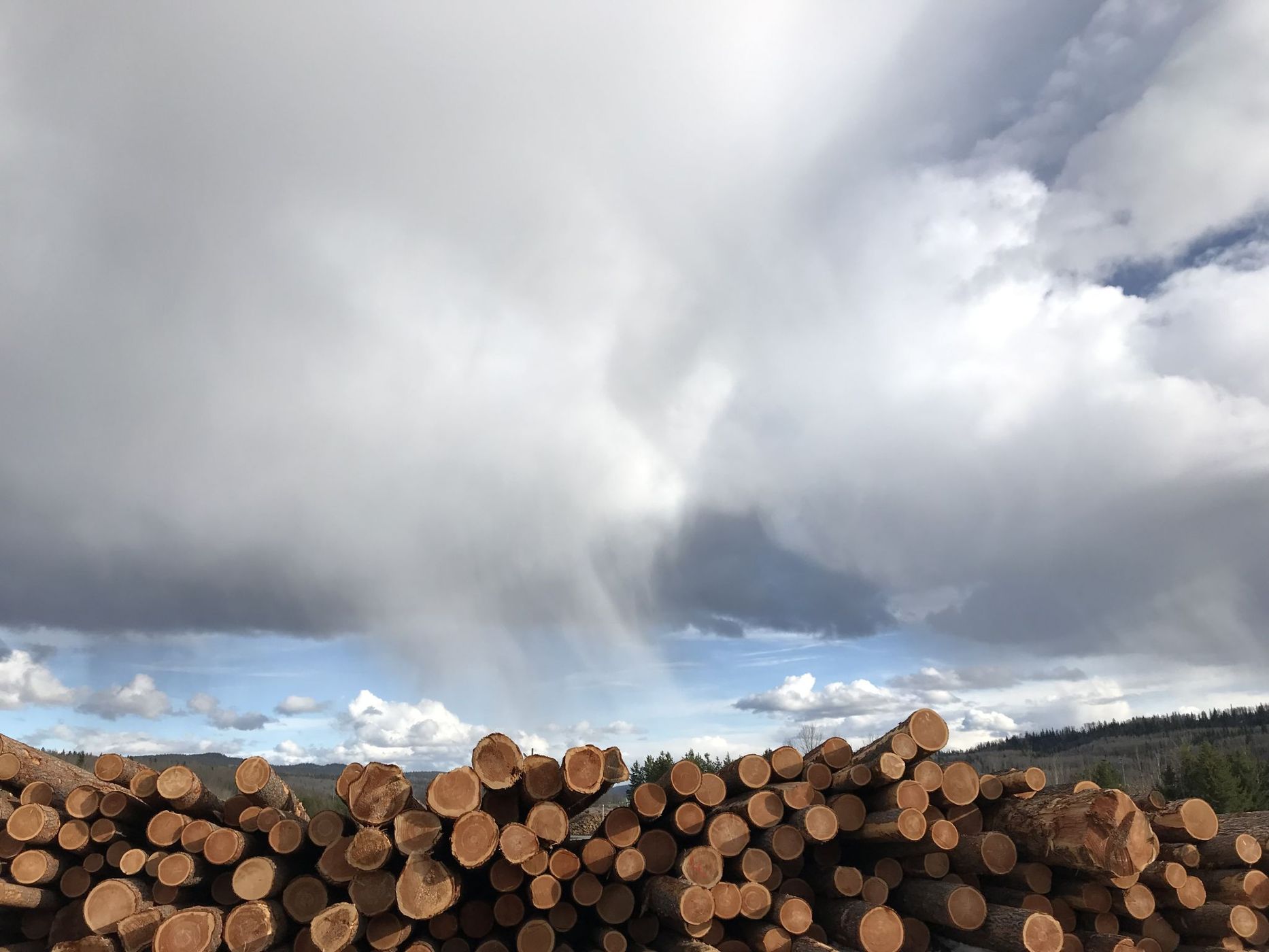 Strathnaver Lumber yard, Canada