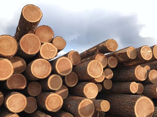 Strathnaver Lumber yard
