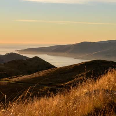 Sugar Loaf, New Zealand