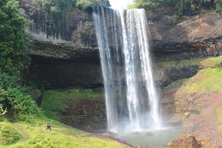 Tad Tayicsua