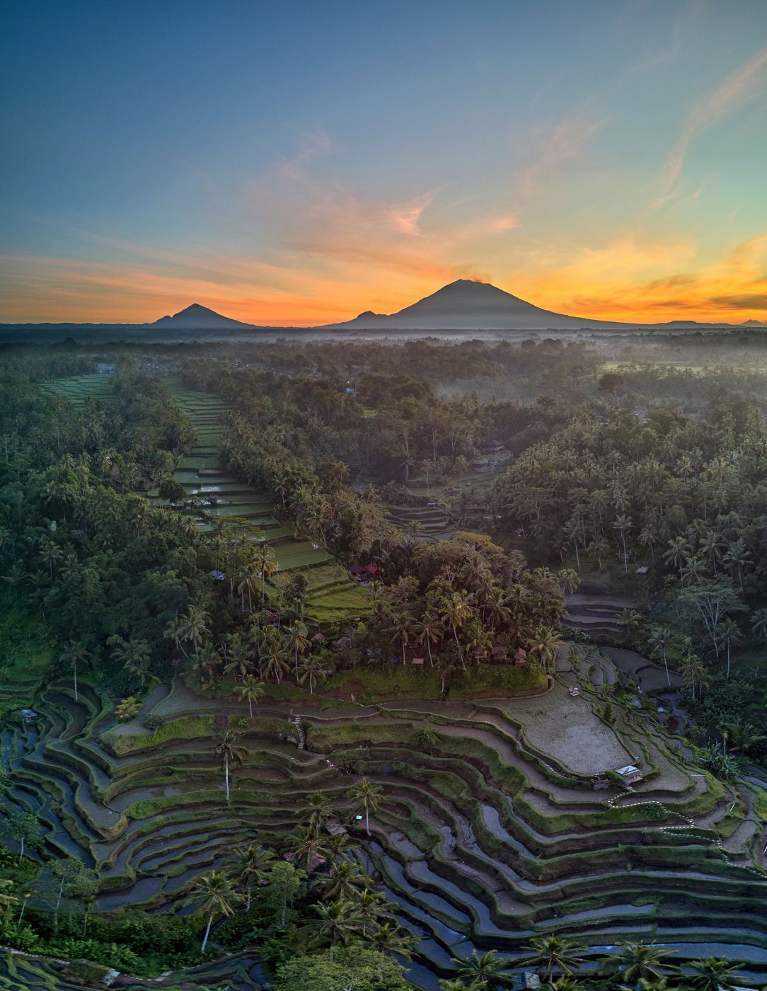 Tegallalang Rice Terraces, Indonesia