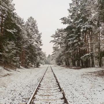 Torun, railway tracks in the forest, Poland