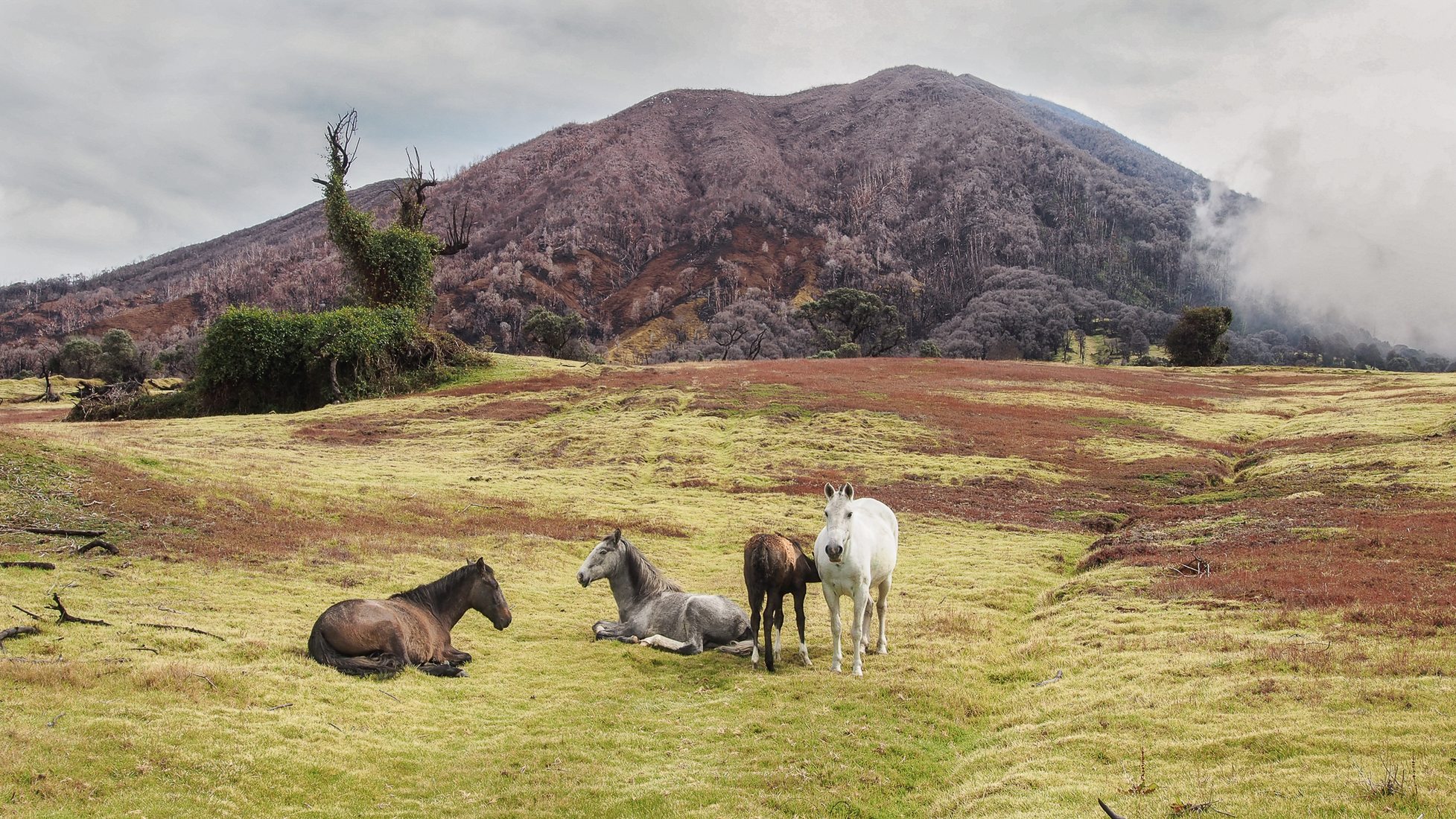Turrialba volcano, Costa Rica