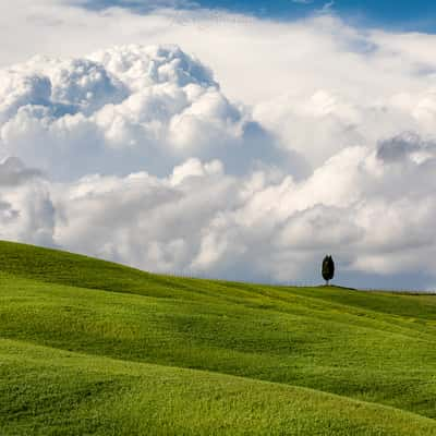 Val D'Orcia, Italy