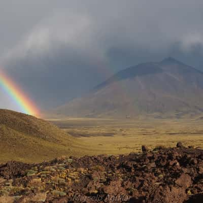 Volcan Payun from real del molle, Argentina