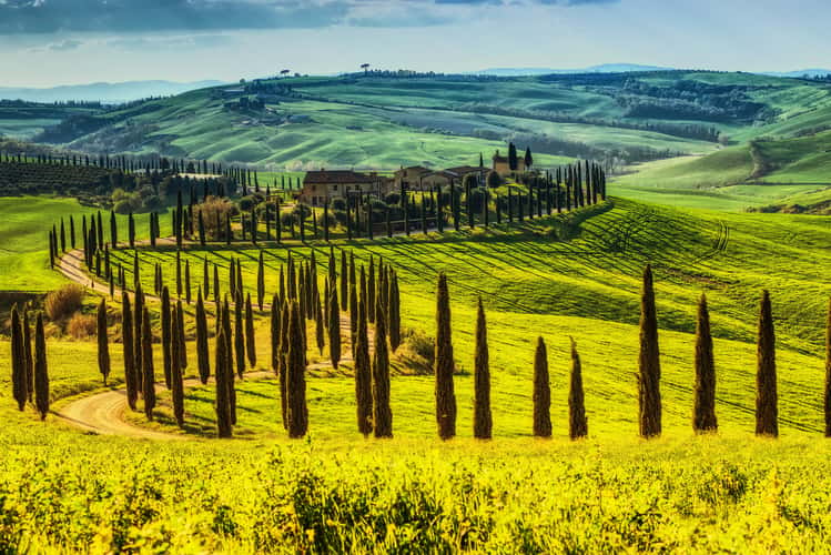 Agriturismo Baccoleno, Asciano