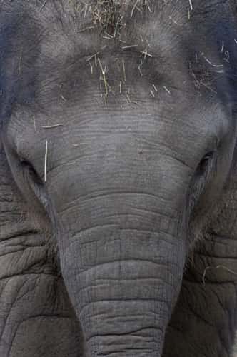 Amersfoort Zoo