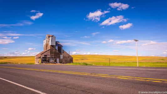 An Abandoned Granary Outside of Pullman