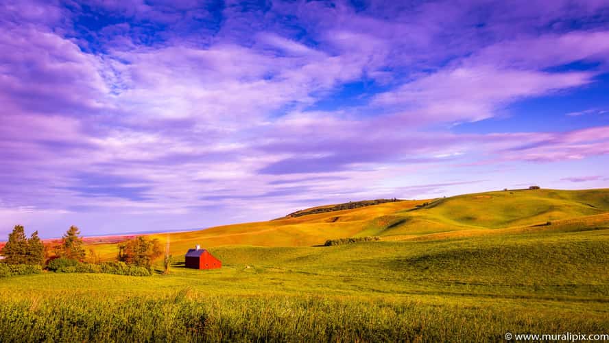 Another Palouse Red Barn