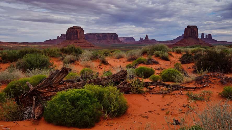 Monument Valley from Artist's Point, Arizona