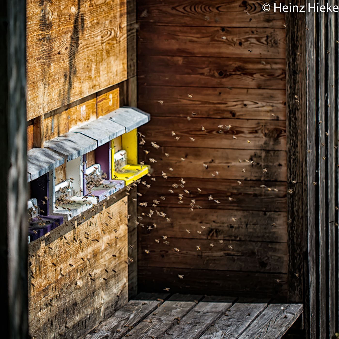 Beehive, Switzerland