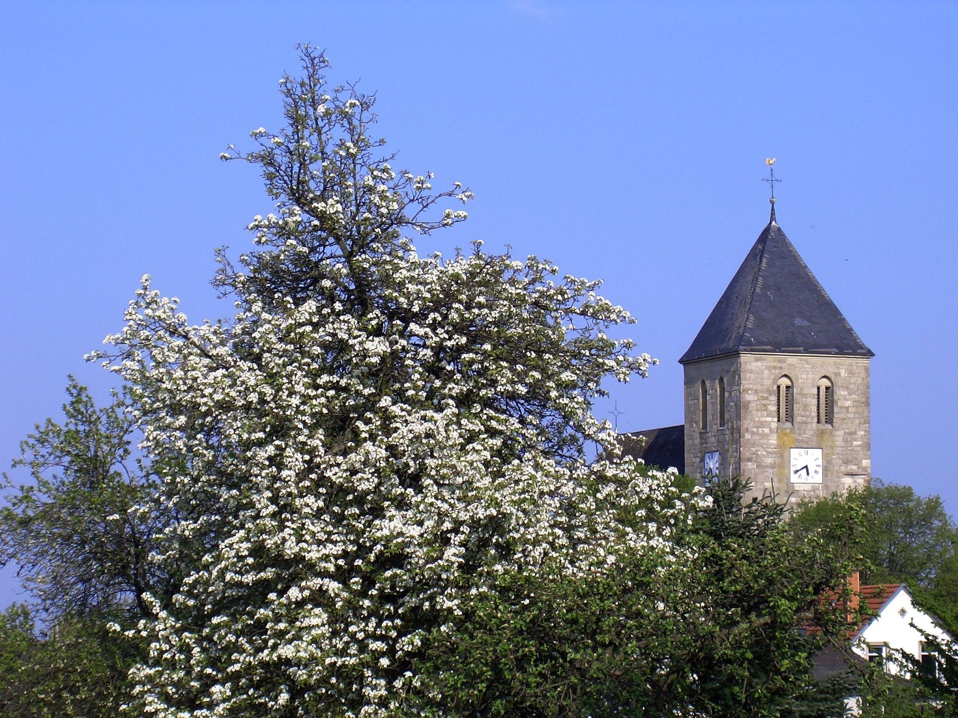 View over St. Dionysius-Pfarrkirche, Havixbeck, Germany