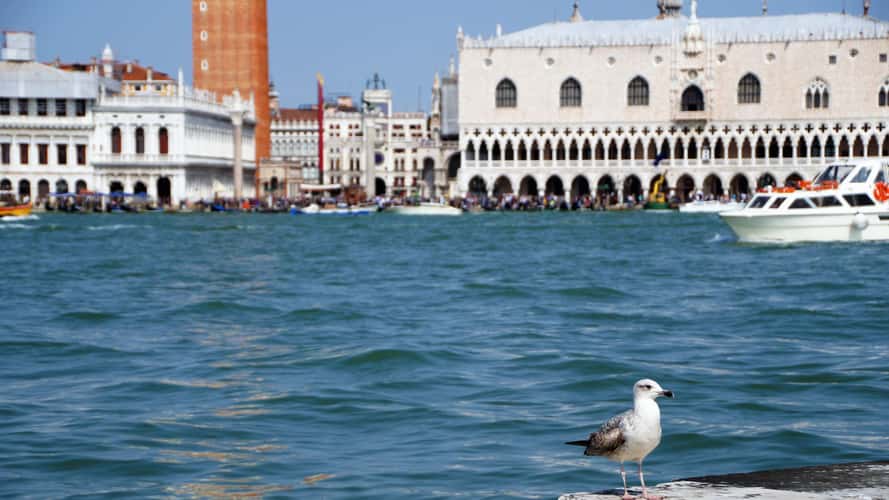 View from the church tower of San Giorgio in Venice