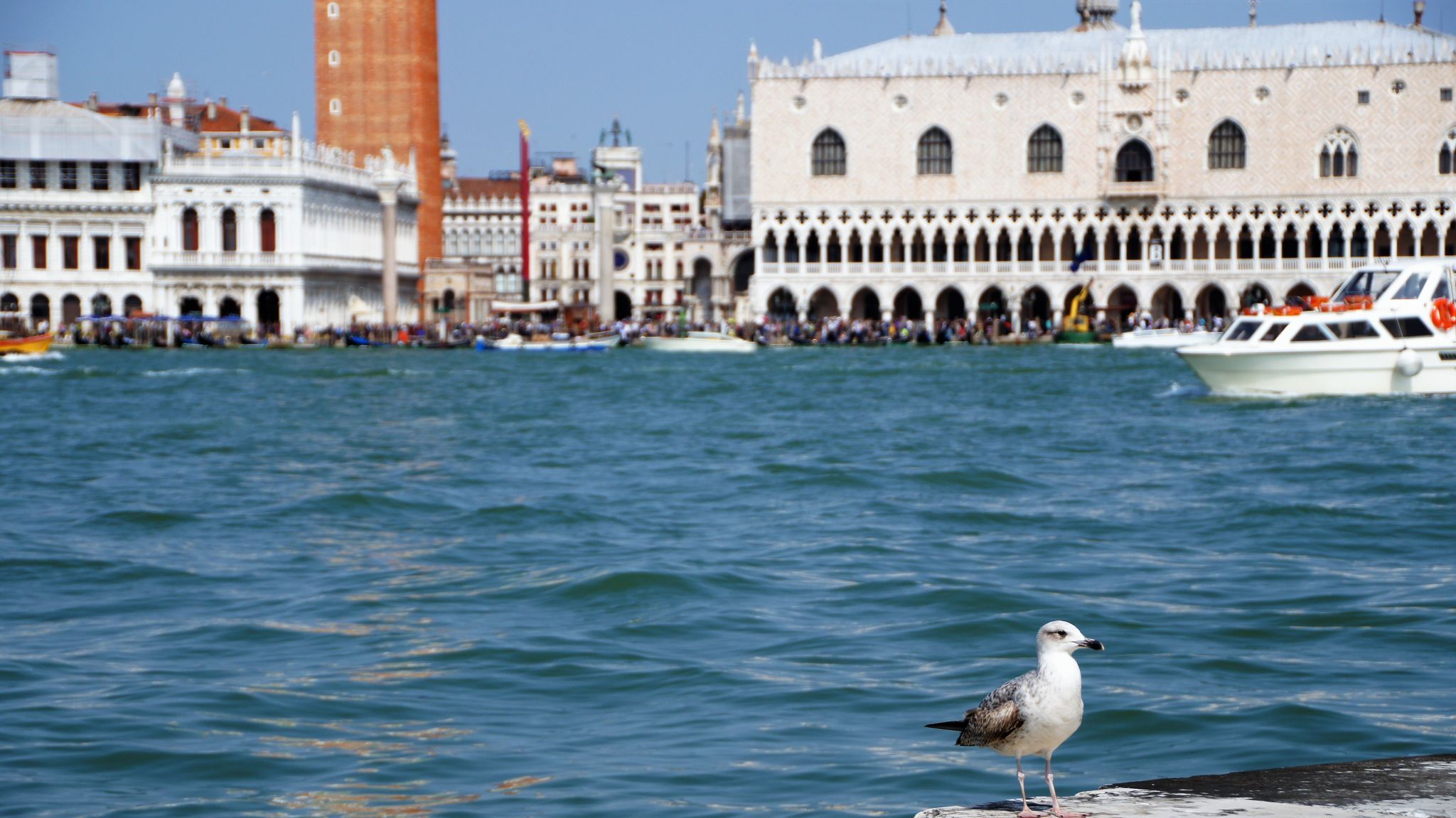 View from the church tower of San Giorgio in Venice, Italy