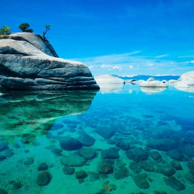 Bonsai Rock, USA