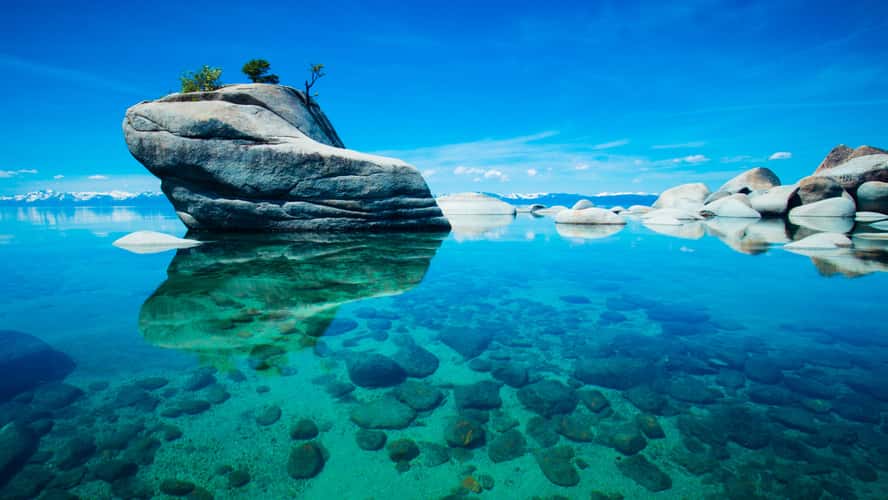 Bonsai Rock