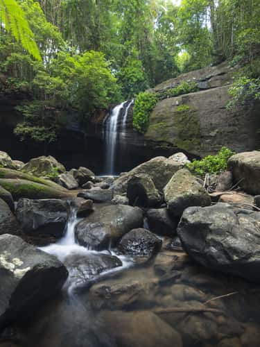 Buderim Waterfall
