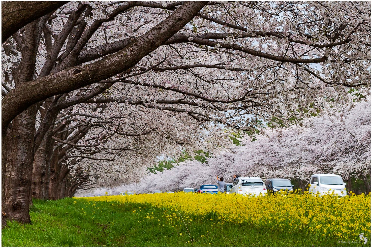 Ōgata mura, Japan