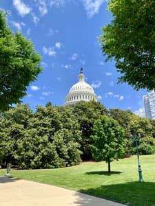 Capitol in spring