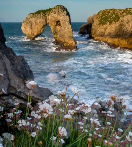 Castro de las Gaviotas
