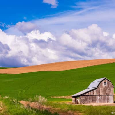 Colfax Gray Barn, USA