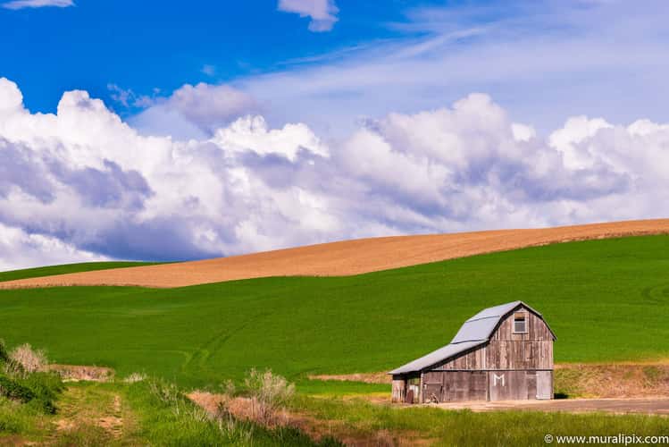 Colfax Gray Barn