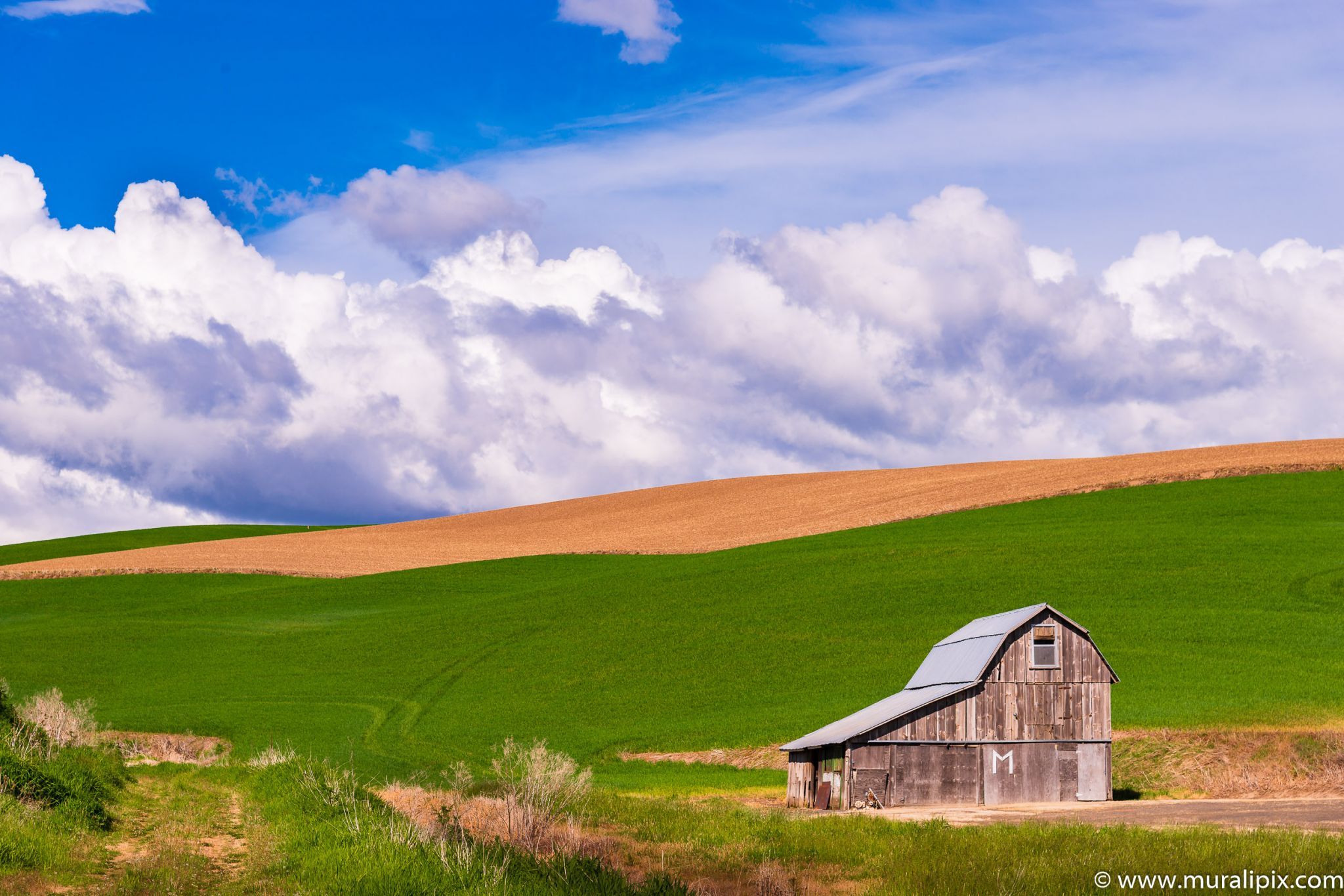 Colfax Gray Barn, USA
