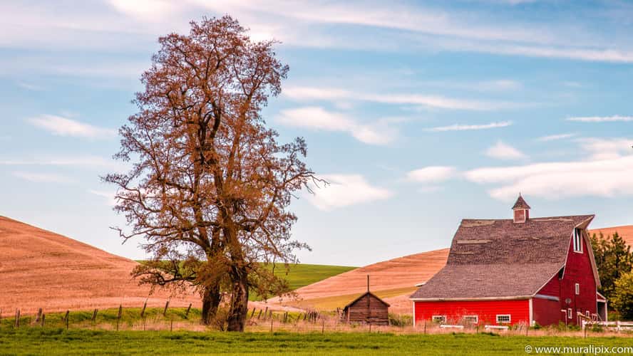 Colfax Red Farmhouse