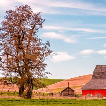 Colfax Red Farmhouse, USA