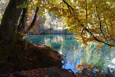 Crestasee