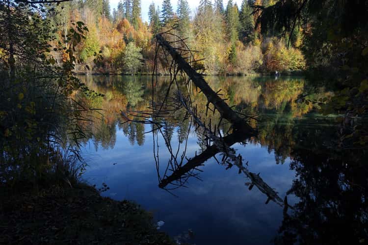 Crestasee