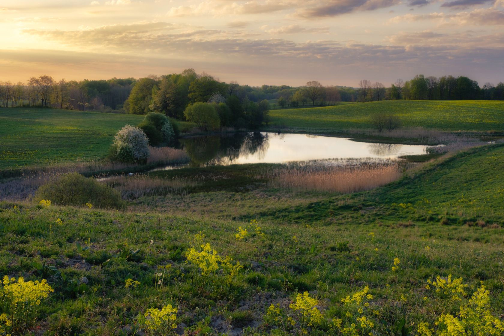 Drawsko Landscape Park, Poland