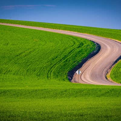 Endicott Farm Road, USA