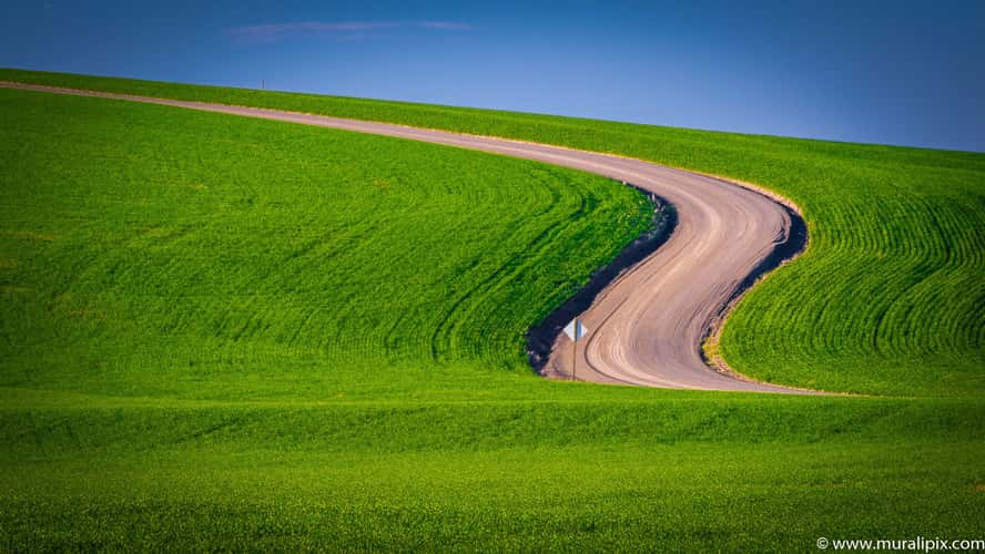 Endicott Farm Road