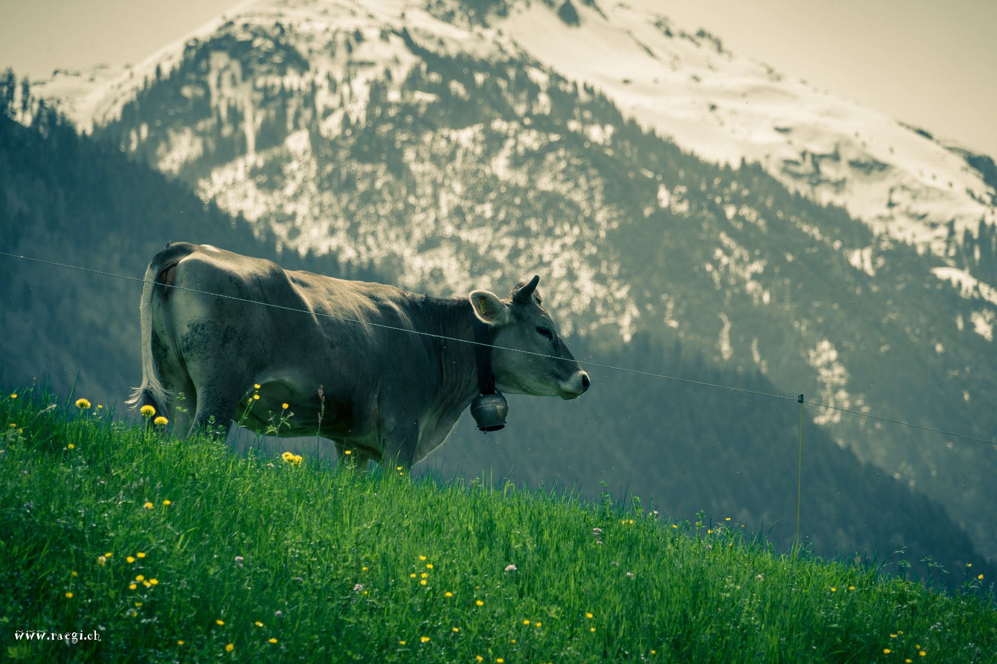 Glarus, Switzerland