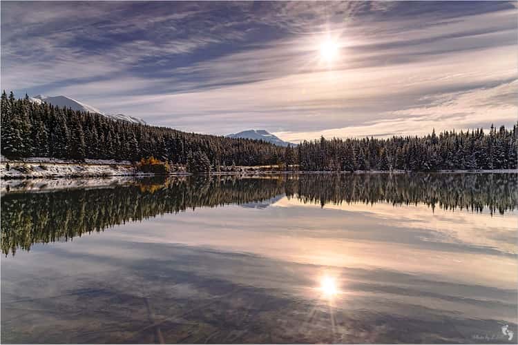 Herbert Lake