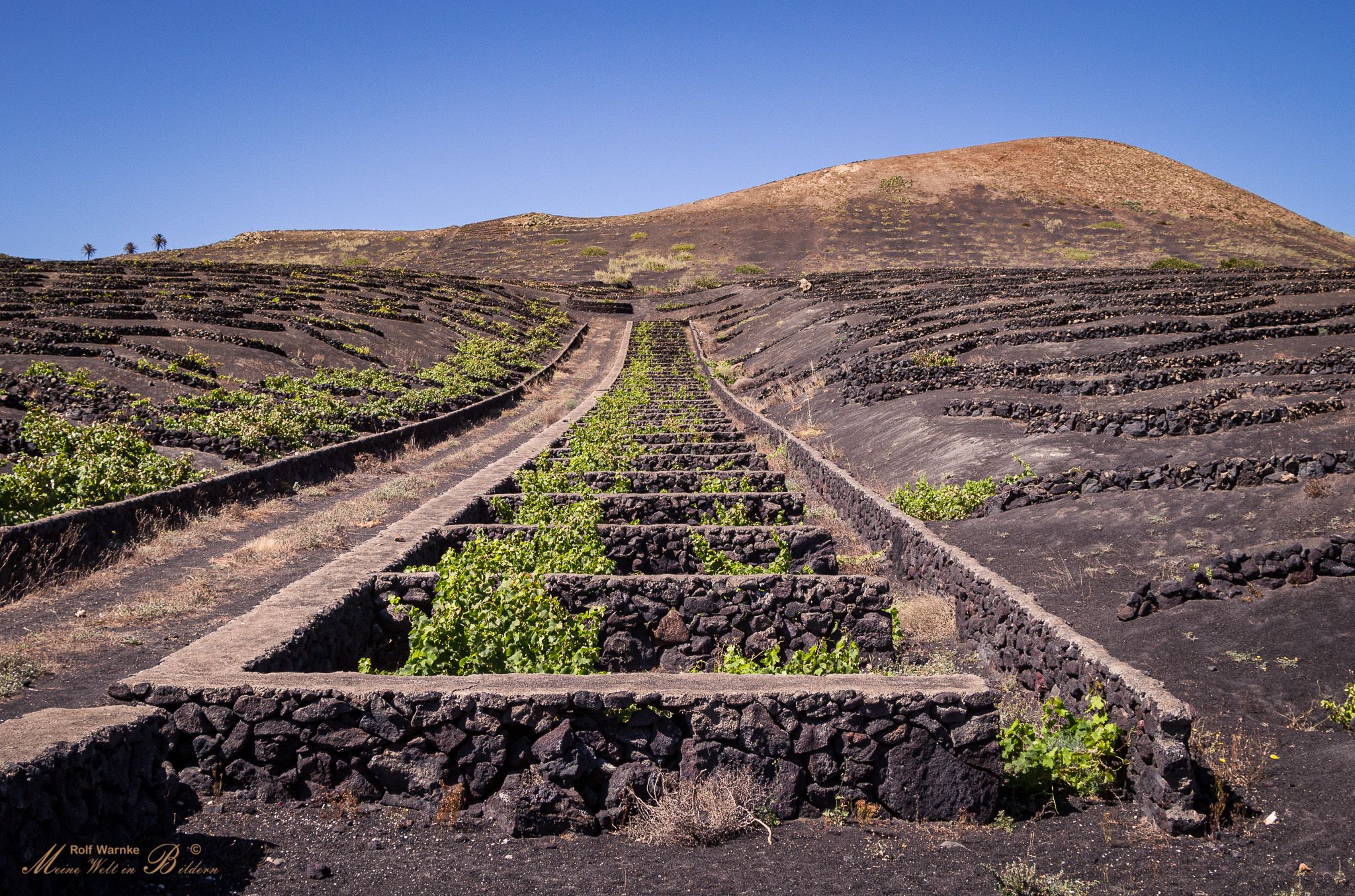 La Geria, Lanzarote, Spain