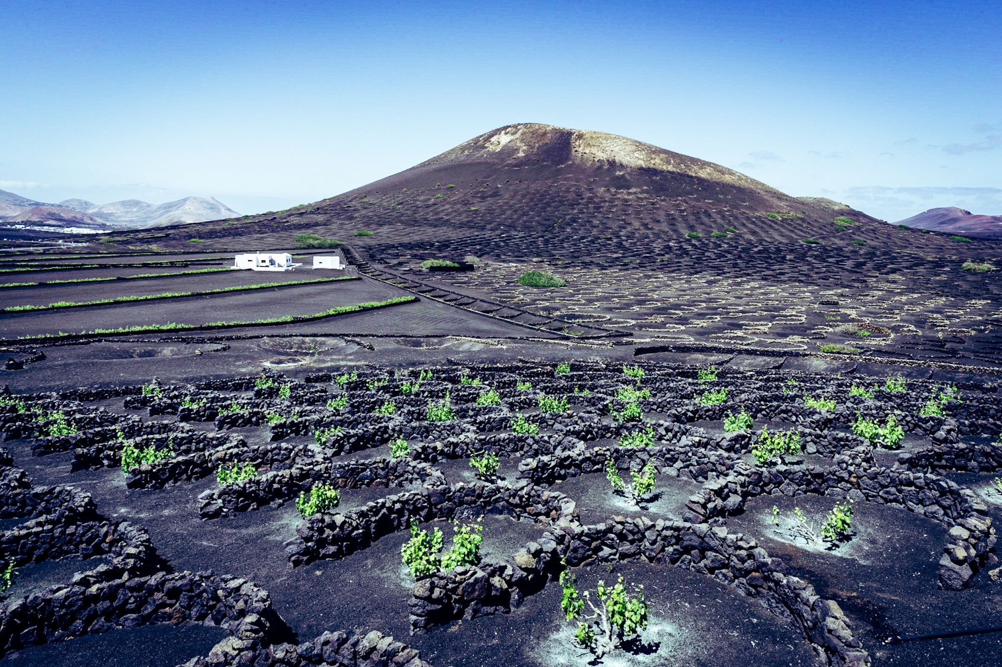 La Geria, Lanzarote, Spain