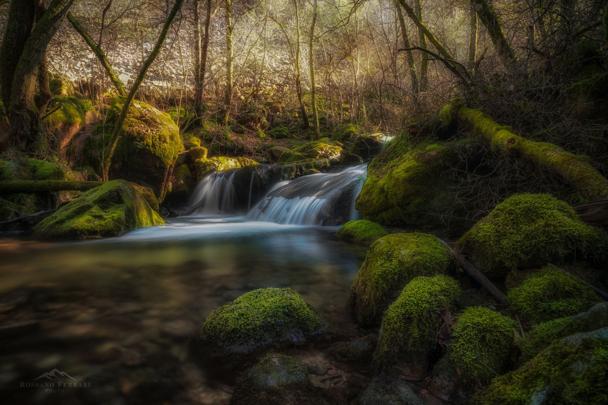Magic Forest, Italy