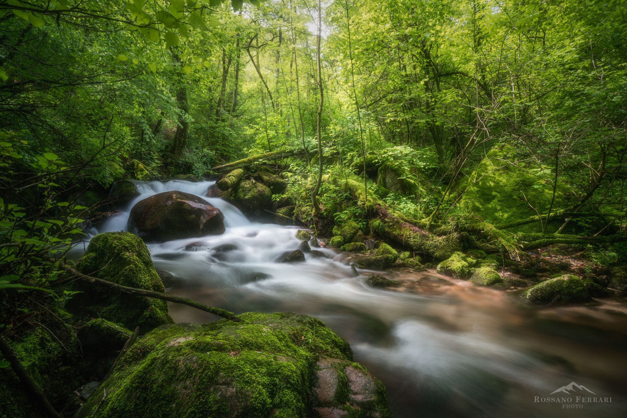 Magic Forest, Italy