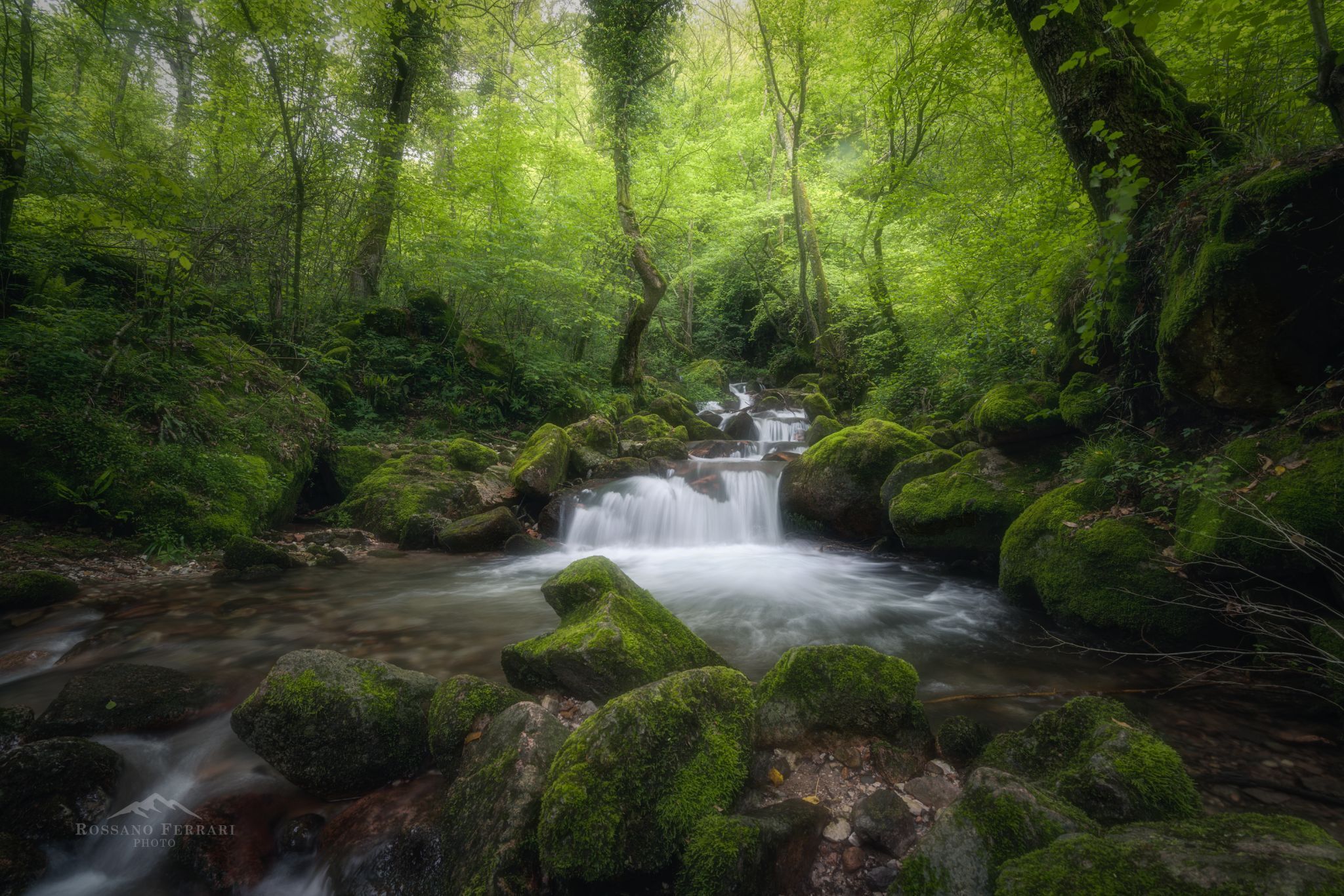 Magic Forest, Italy