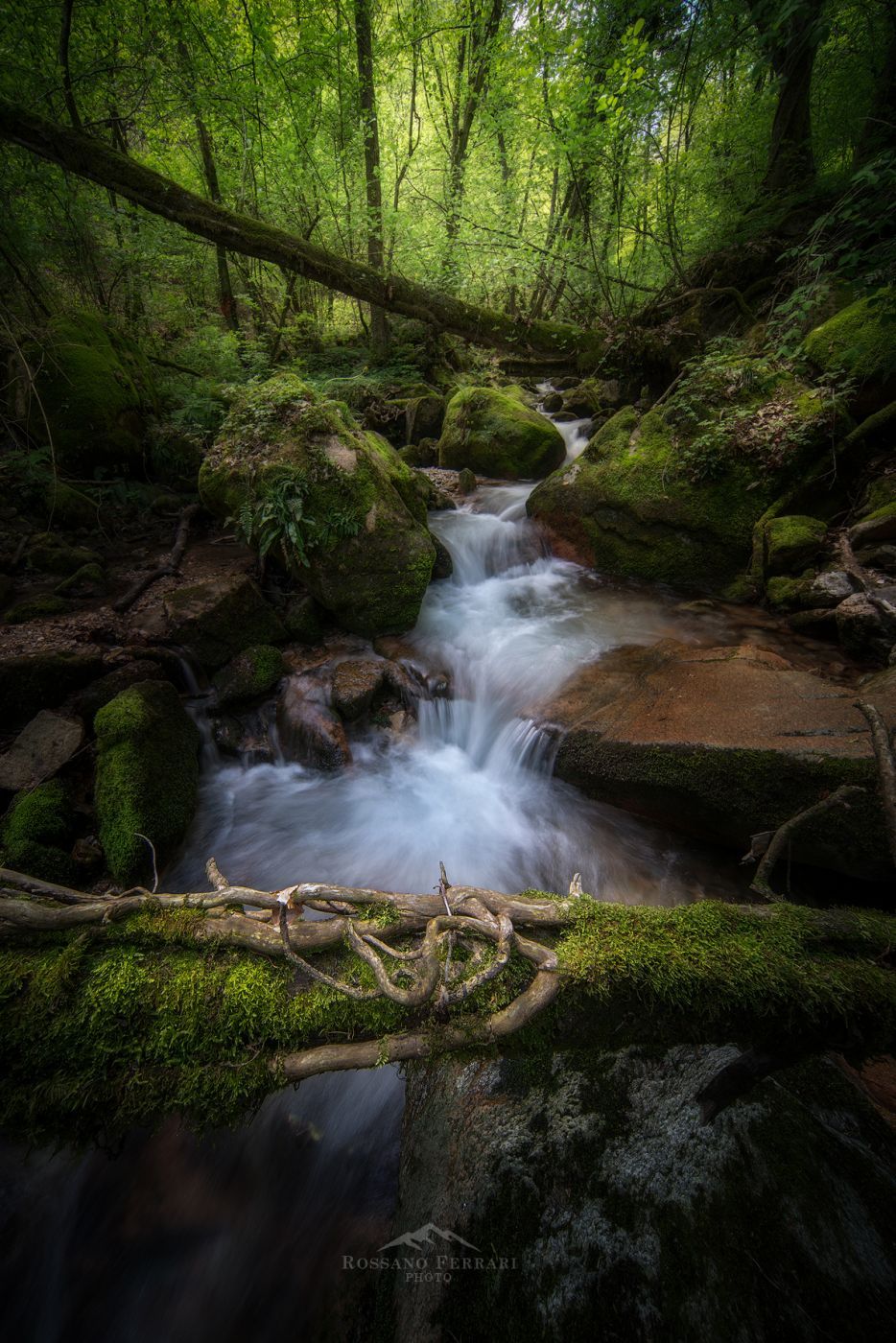Magic Forest, Italy
