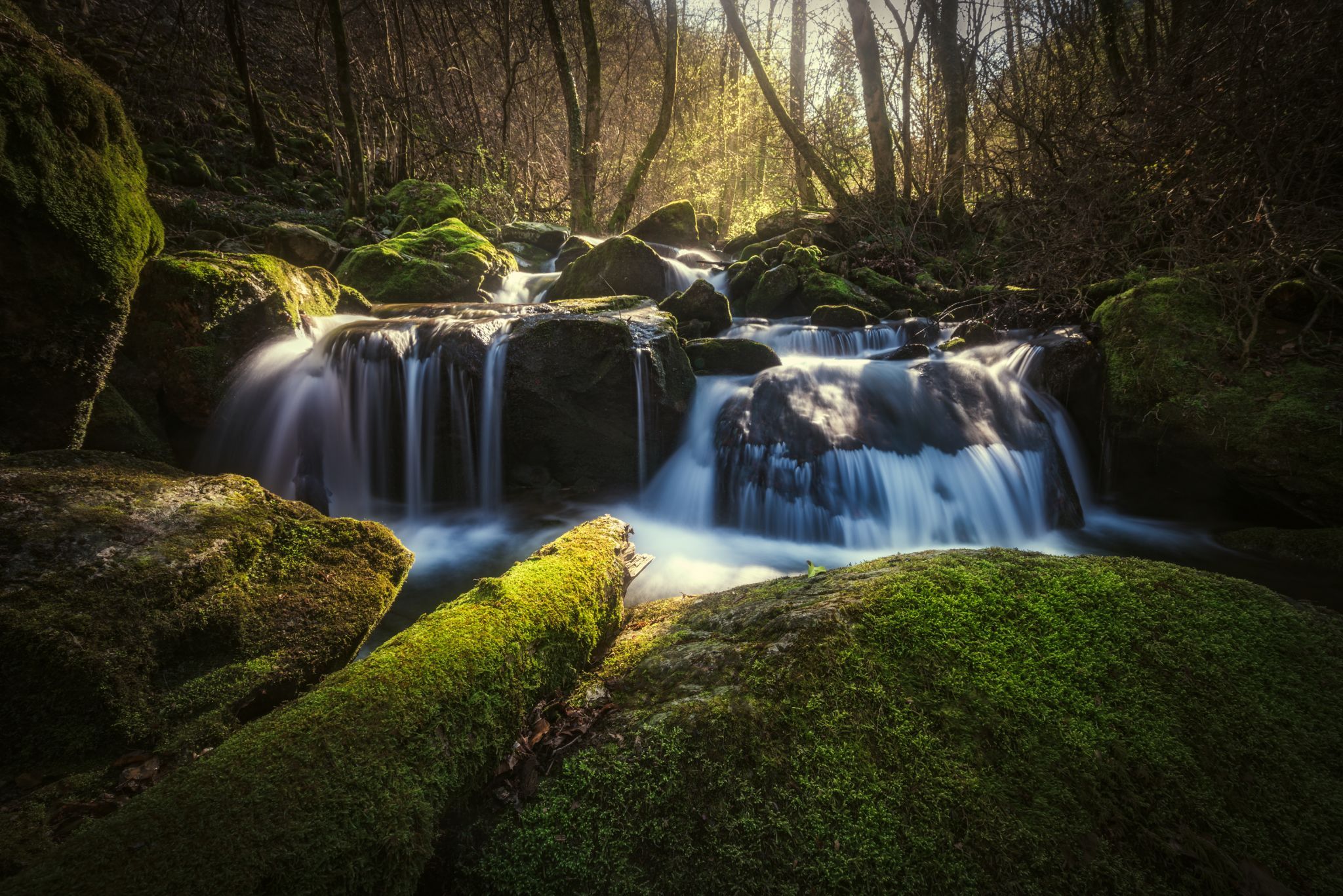 Magic Forest, Italy