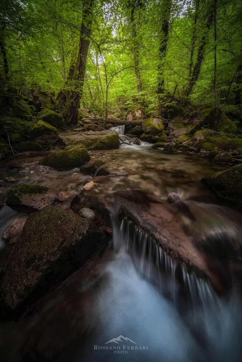 Magic Forest, Italy